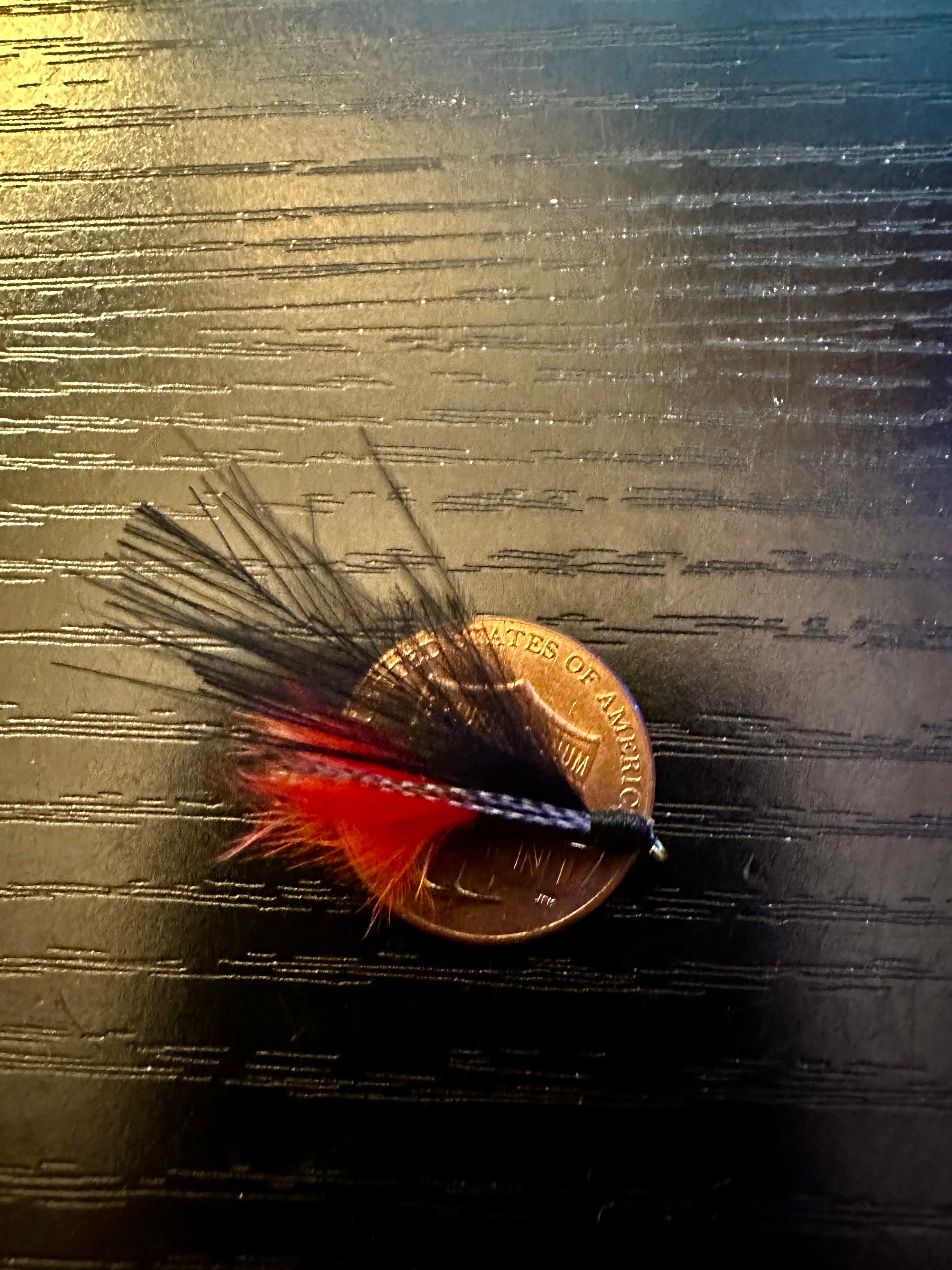 The streamer fly
